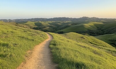 Naklejka premium Winding Dirt Trail Through Lush Green Hills Under a Pale Blue Sky