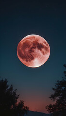 Naklejka premium full moon in the sky