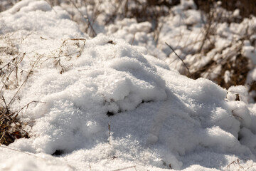 snow covered grass