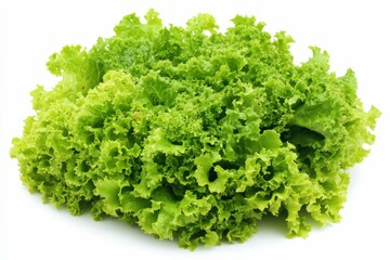 Fototapeta premium Iceberg Lettuce Isolated on White Background with Copy Space for Diet and Healthy Food Concept