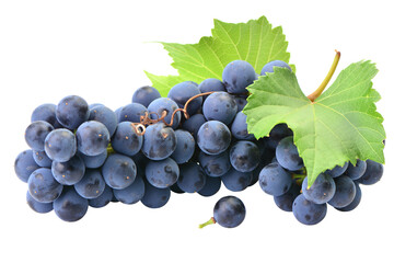 Bunch of grapes isolated on white background