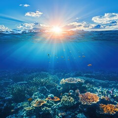 Fototapeta premium Underwater Coral Reef with Sunlight and Marine Life