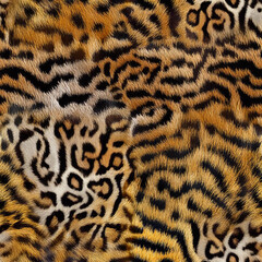 Seamless camouflage fabric texture. Abstract background and texture for design.