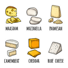 Pieces of maasdam, mozzarella, cheddar, parmesan, camembert, blue cheese. Vector color vintage engraving illustration isolated on white background.