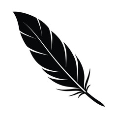 Fototapeta premium vector illustration of feather