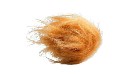 A small fluffy orange tuft of fur or feathers is isolated against a white background.