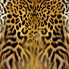 Seamless camouflage fabric texture. Abstract background and texture for design.