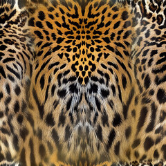 Seamless camouflage fabric texture. Abstract background and texture for design.