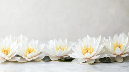 Obraz premium A simple yet elegant composition of sacred lotus flowers resting on a smooth white surface.