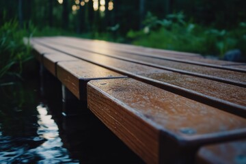Fototapeta premium Wooden bridge, forest stream, sunset, nature walk, tranquility