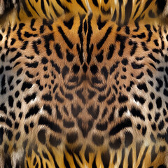 Seamless camouflage fabric texture. Abstract background and texture for design.