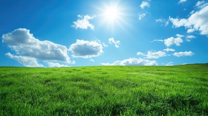 Obraz premium A lush green field under blue skies, symbolizing the beauty of nature before the destructive impact of climate change.