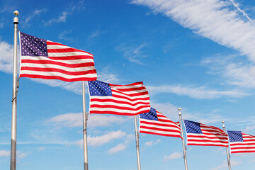 Rows of American flags waving against a sunny sky