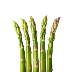 Fototapeta premium CBright green asparagus stalks arranged vertically on a transparent backgroundolorful abstract - 1