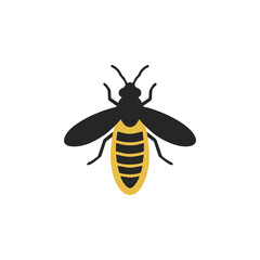 Elegant Minimalist Firefly Logo Concepts