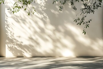 empty room with shadow from the tree on the wall