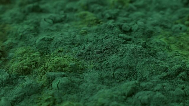 Chlorella or spirulina algae green powder circle rotation close up. Dietary supplement to improve health. Seaweed superfood. Healthy food background. Vitamins and minerals to diet detox