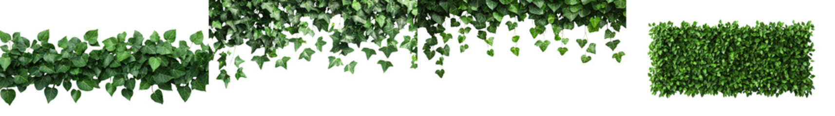 Naklejka premium Vibrant green foliage backdrop with lush thriving leaves and climbing vines covering an entire wall or surface Organic botanical nature pattern with a fresh summer garden feel