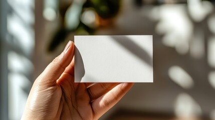 Hand holding blank business card in sunlit room minimalist design indoor personal branding
