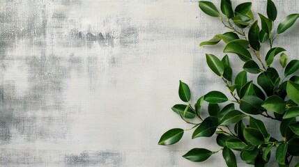 Greenery border, textured backdrop