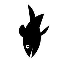 Fototapeta premium doodle fish vector image