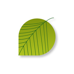 Green Leaf Illustration
