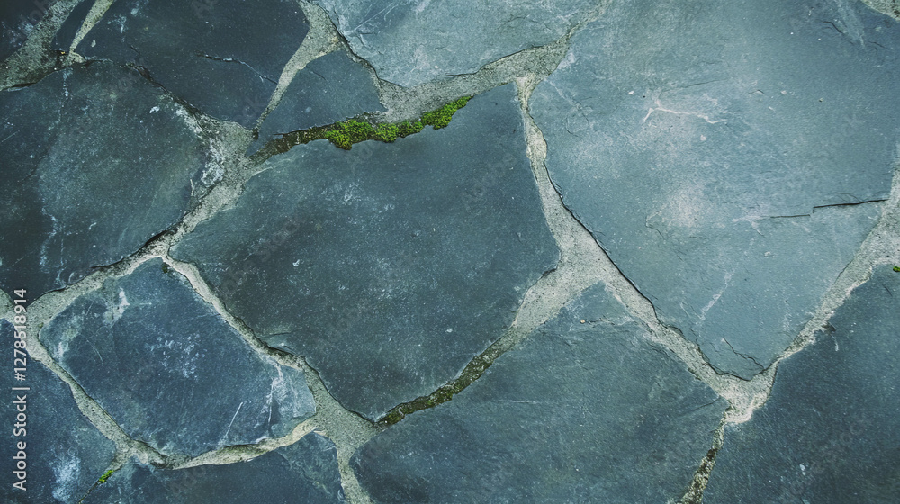 Poster weathered stone surface with moss texture for natural background design