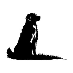 Silhouette of Sitting Dog on Grass