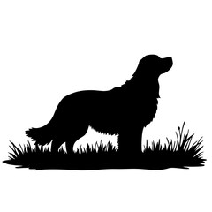 Dog Silhouette Standing on Grass