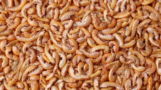 Dried Gammarus shrimp fish food texture circle rotation close up