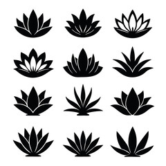 Set of Black and White Silhouettes of Lotus and Agave Plants