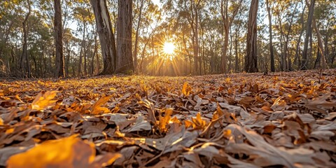A tapestry of autumn hues: crisp, brown, and golden-yellow leaves carpet the earth, each one capturing the essence of nature's serene finale