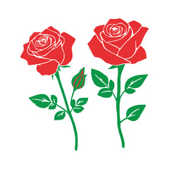 Isolated red rose vector illustration on white background