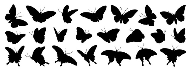 Naklejka premium Birdwing, swallowtail and morpho butterflies on transparent background, black silhouette illustrations