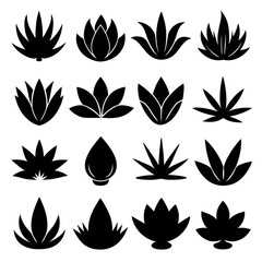 A collection of stylized, black silhouette images of agave plants.