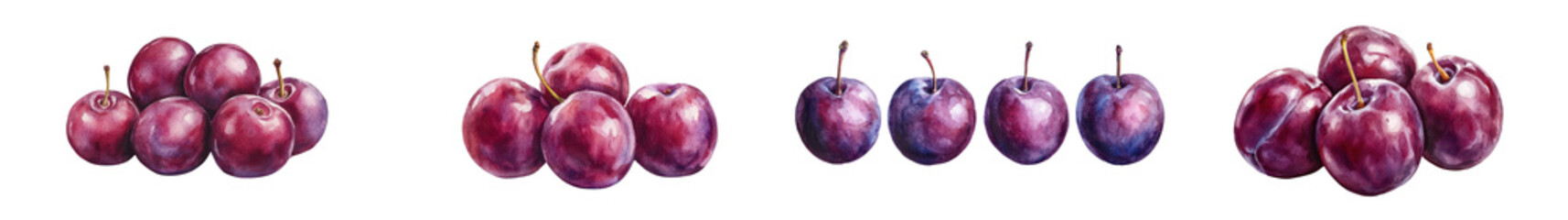 Fototapeta premium Delicious fresh ripe purple plums harvest Healthy organic juicy plums in a group or pile on a plain white background Natural seasonal and nutritious stone fruit ready for cooking