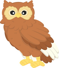 illustration owl