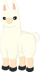 illustration llama alpaca
