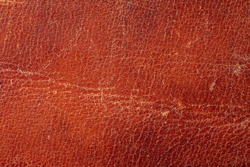 Aged leather background. Ripped leather texture