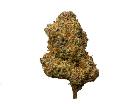 Apple Mintz Cannabis Bud &ndash; High-Resolution PNG with Transparent Background