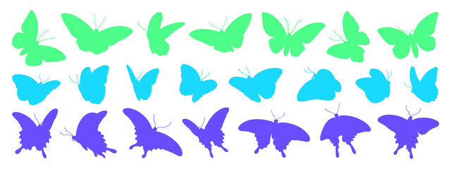 Birdwing, swallowtail and morpho butterflies on transparent background, colorful silhouette illustrations