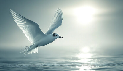 A graceful Arctic Tern soaring effortlessly above the shimmering blue ocean, its pristine white feathers illuminated by the radiant sunlight on a clear day, embodying freedom and elegance in flight.