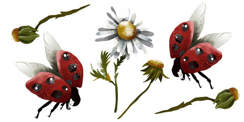 Seamless botanical pattern. Various herbs and flowers, hand-drawn. Vintage vector illustration of flowers. A colorful banner. An idea for wallpaper and textiles. A linear drawing. A botanical set.