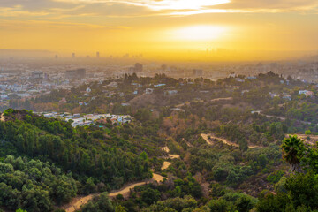 Obraz premium Golden Sunset Over Griffith Park's Hiking Trails and Lush Landscape