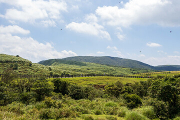 Obraz premium Landscape View Of The Beautiful Qingtiangang, Yangmingshan National Park (The Highest Mountain Of Taipei) , Taipei, Taiwan 