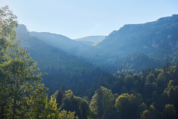 Fototapeta premium Beautiful mountain landscape. Natural beauty. Forest and mountain peaks in the snow
