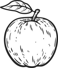 Apple whole one big round fruit organic food vegetarian snack engraving hand drawn illustration black white isolated vintage line art sketch silhouette graphic style poster label web	
