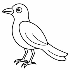 Fototapeta premium bird on a branch