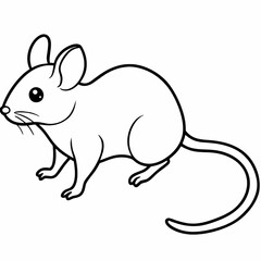 Fototapeta premium black and white rabbit