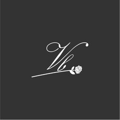 Initial VB art illustration flower design creative